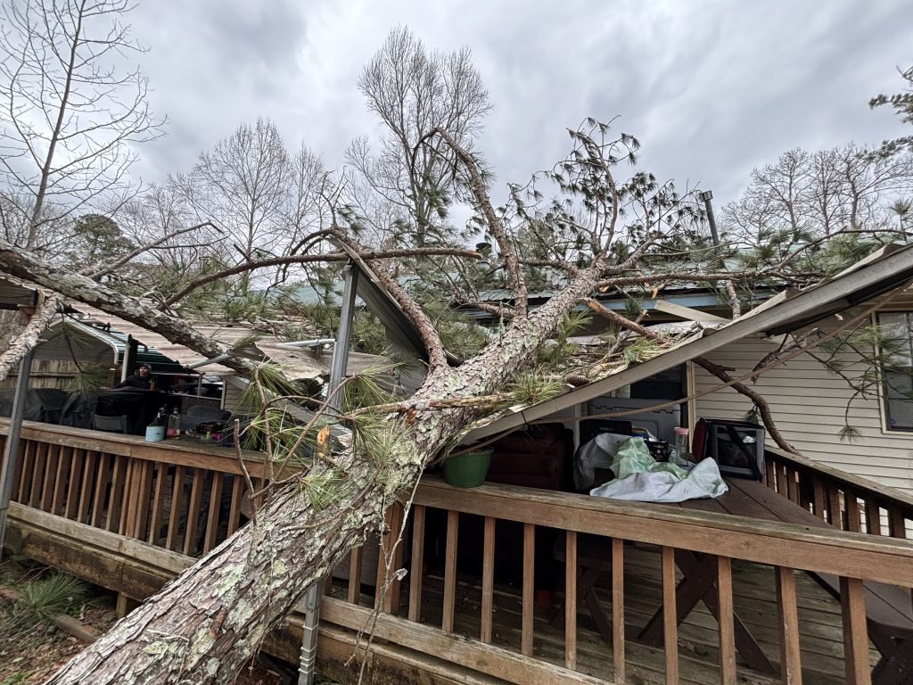 tree fallen on home